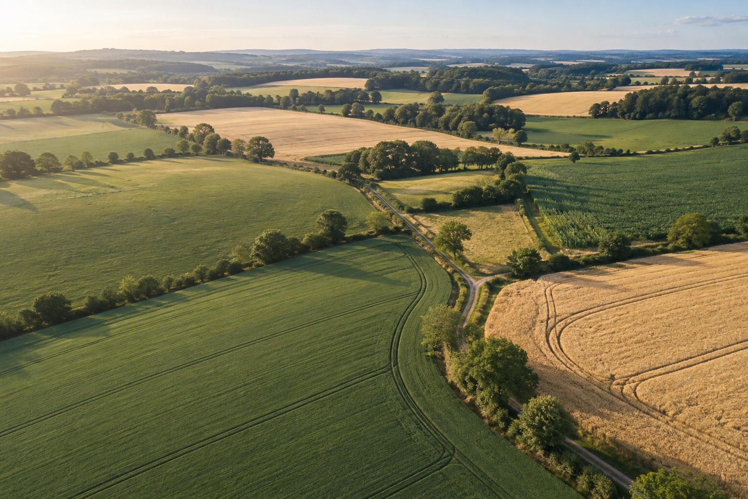 Vue aérienne de parcelles cultivées