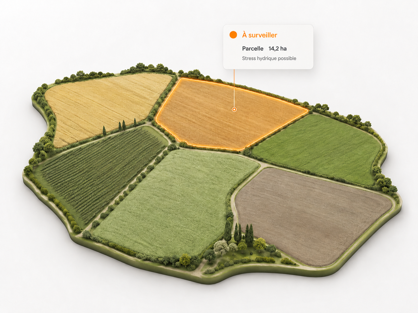Vue 3D de l’exploitation avec une parcelle de 14,2 hectares signalée pour un possible stress hydrique