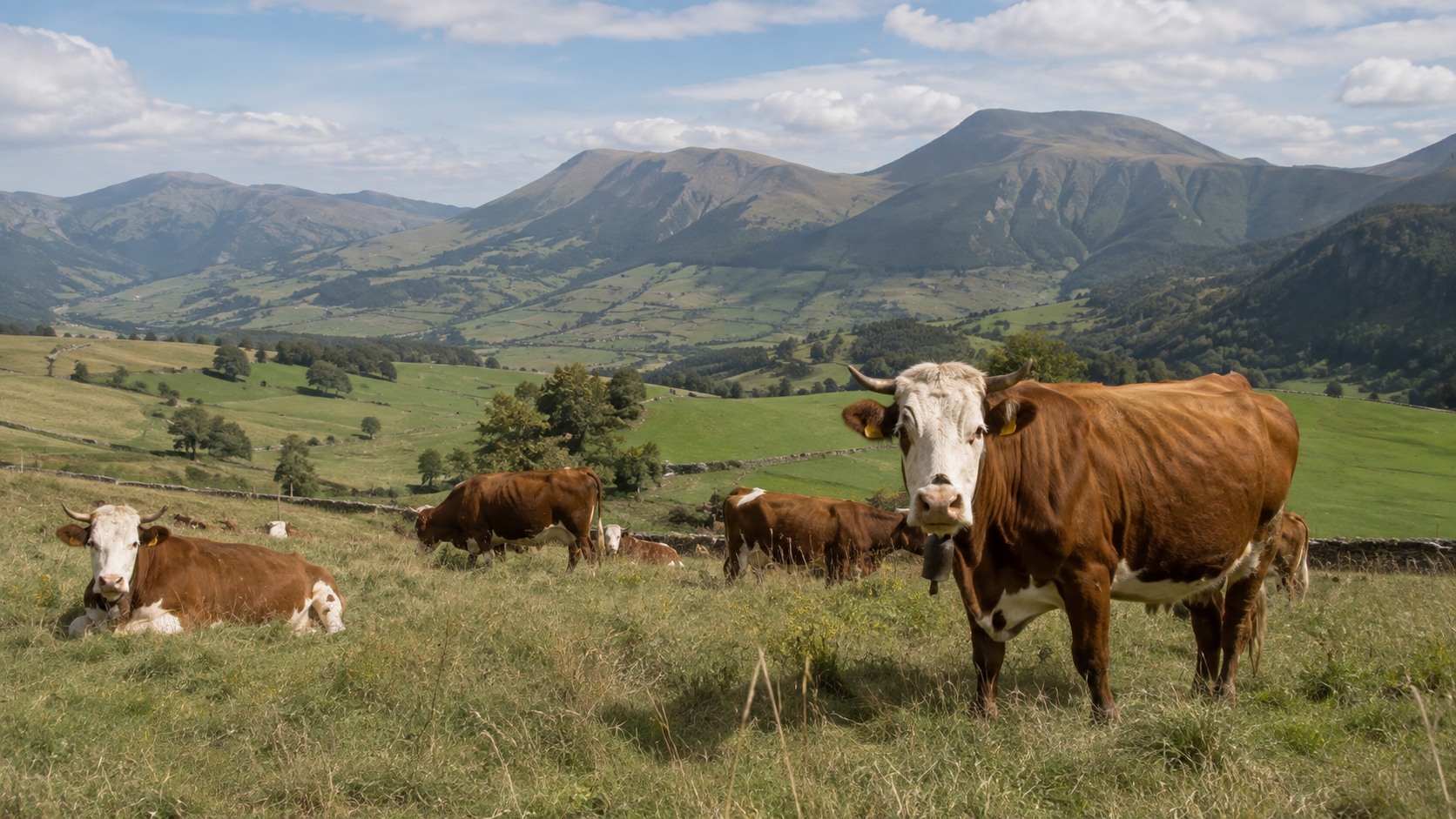 Vue agricole consacrée à agriculture en auvergne-rhône-alpes