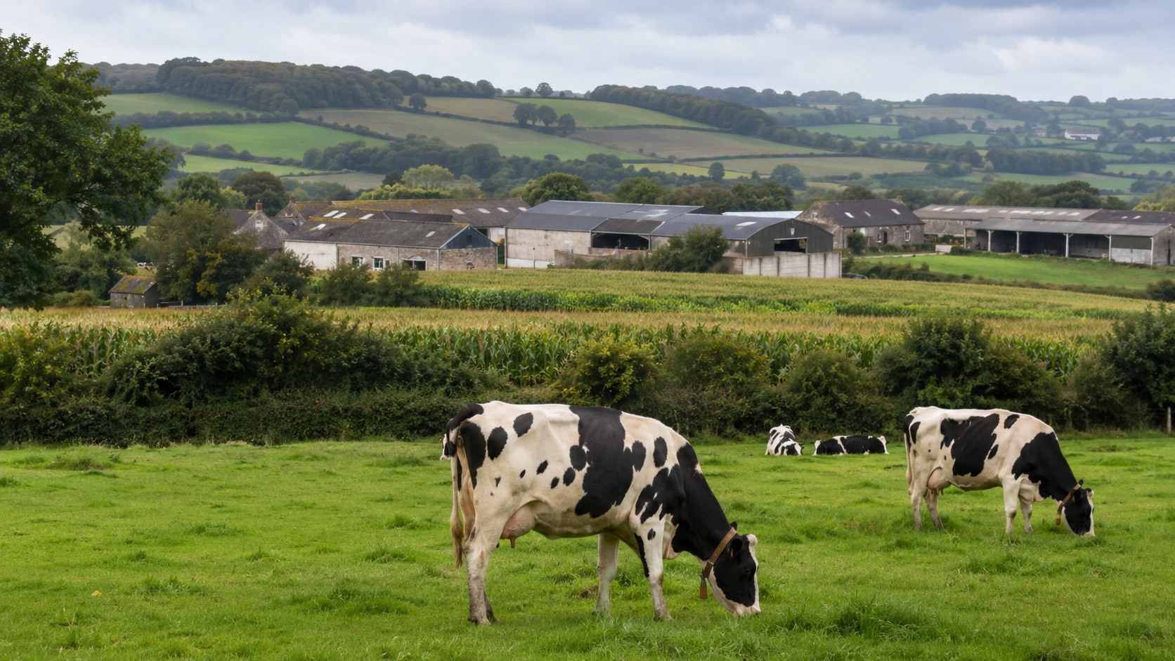 Vue agricole consacrée à agriculture en bretagne