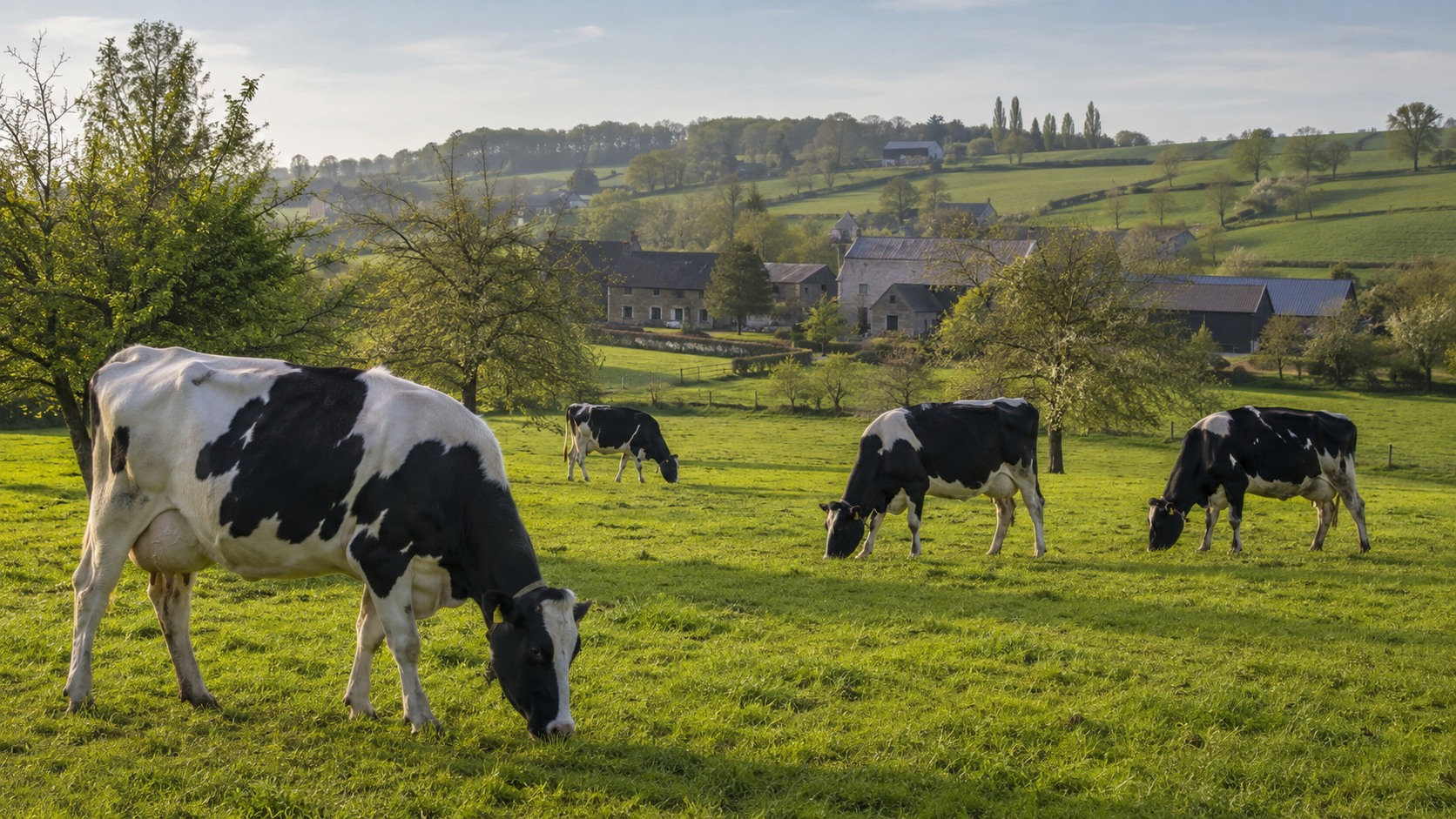 Vue agricole consacrée à agriculture en normandie