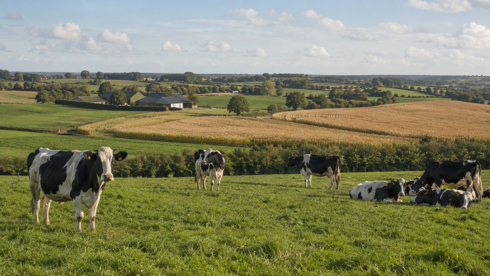 Vue agricole consacrée à agriculture en pays de la loire