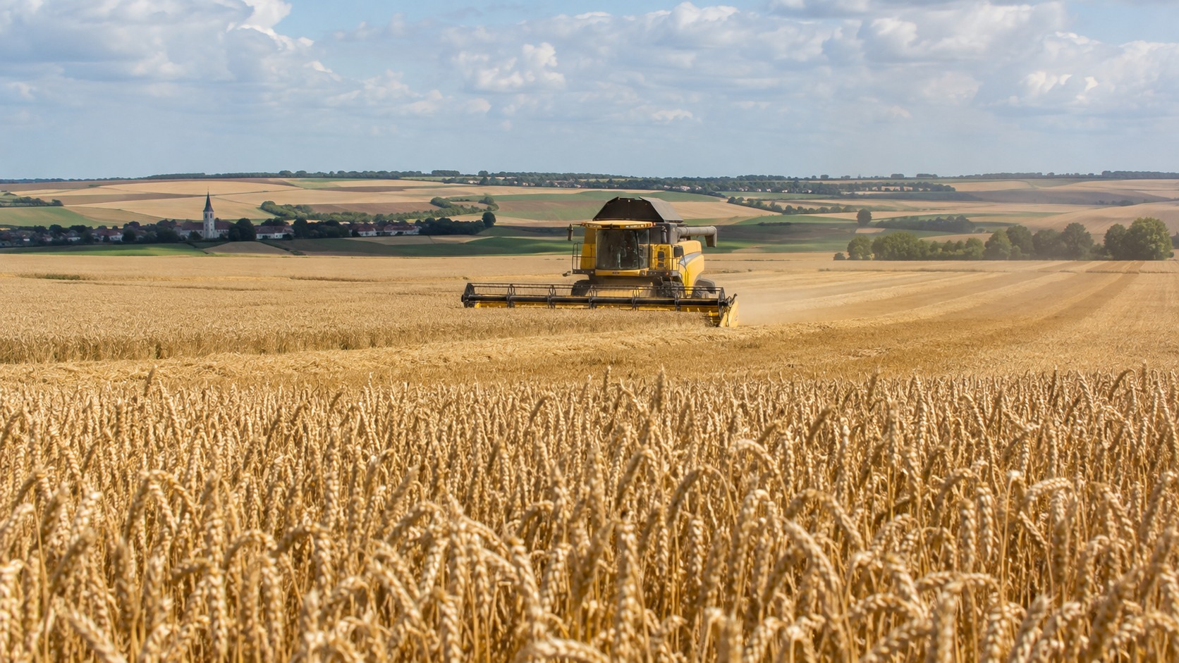 Vue agricole consacrée à blé dans le bassin parisien