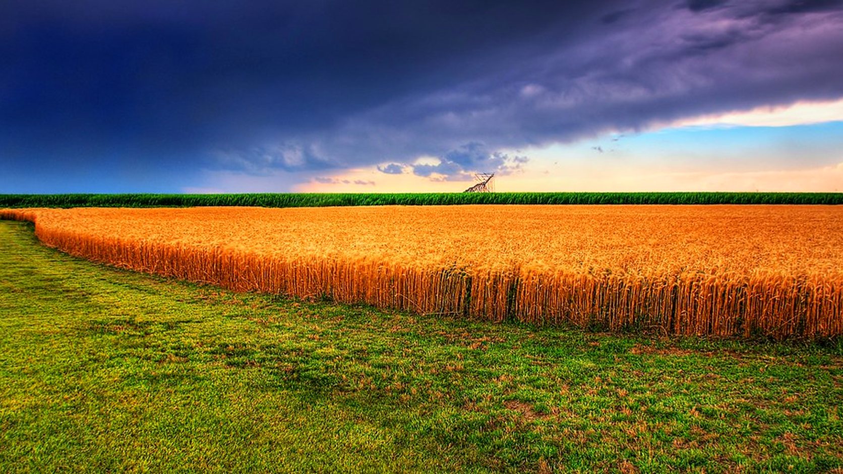 Vue agricole consacrée à couverts avant blé