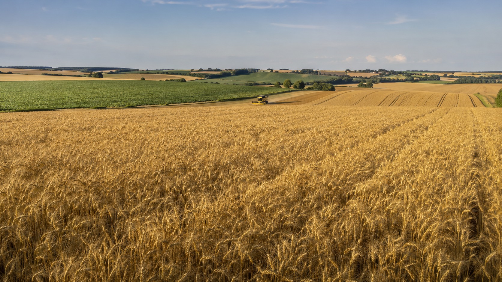 Vue agricole consacrée à grandes cultures