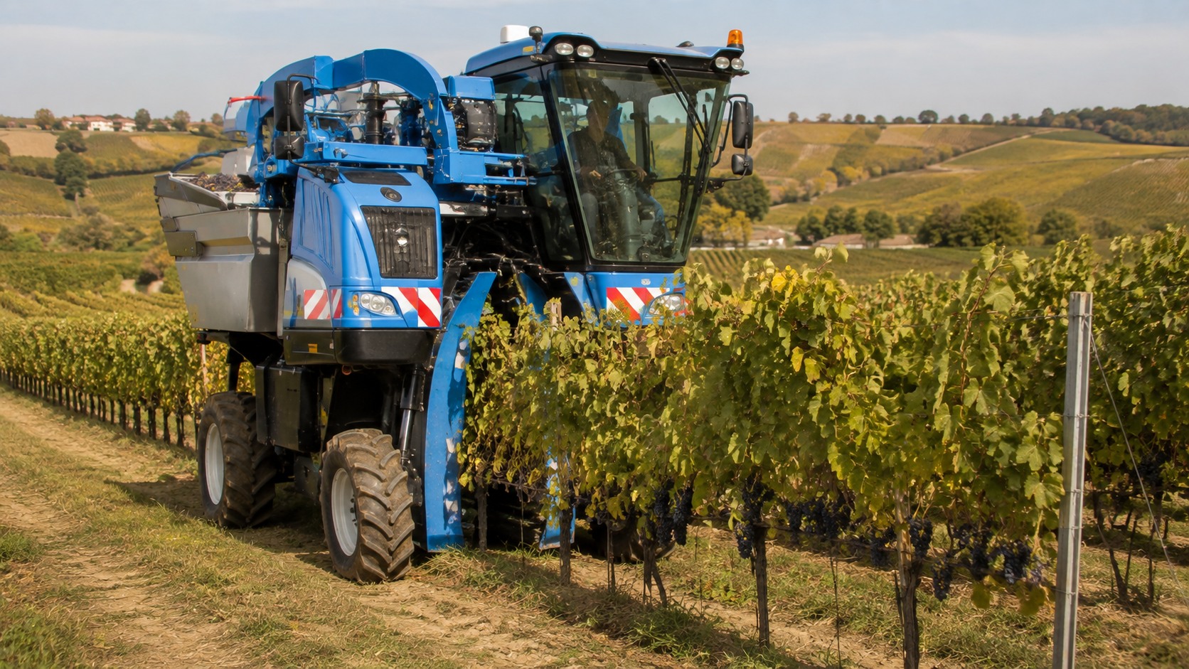 Vue agricole consacrée à machine à vendanger