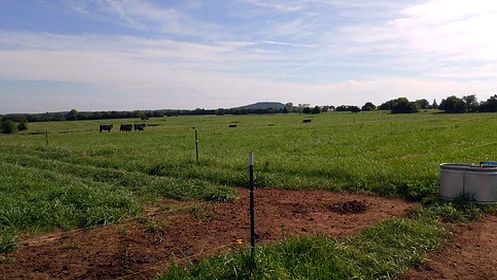 Illustration agricole de paturage dynamique