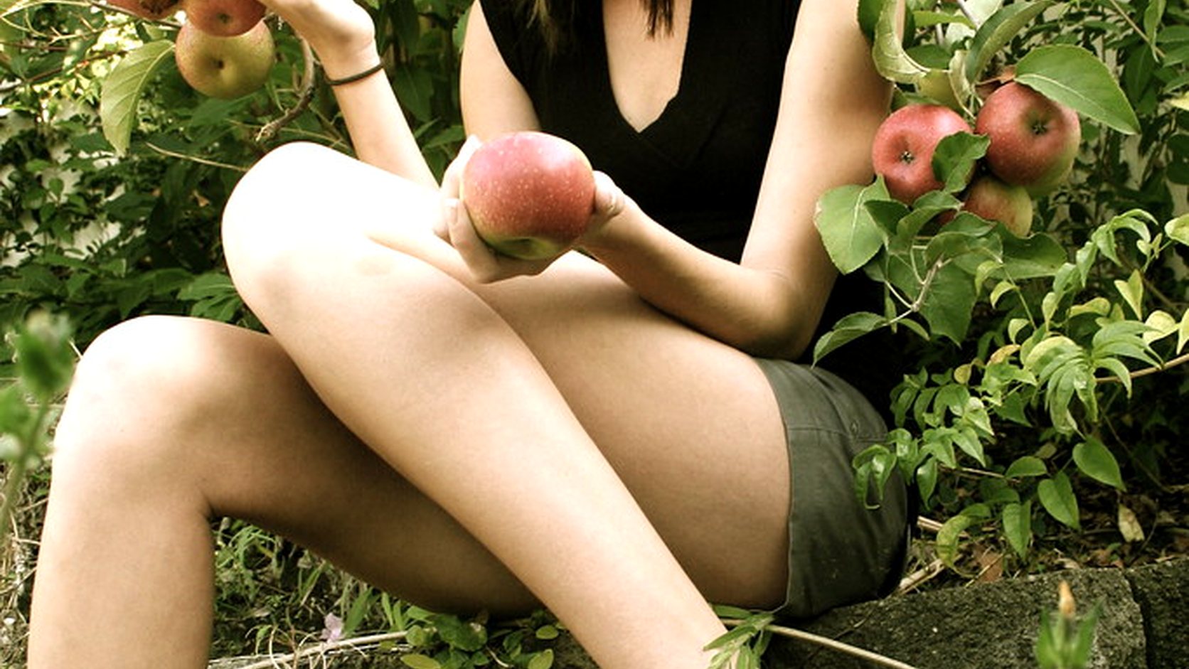 Illustration agricole de pommier