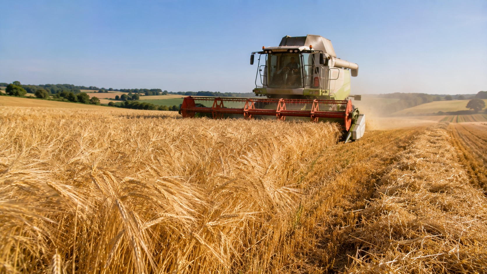 Vue agricole consacrée à récolte de l’orge