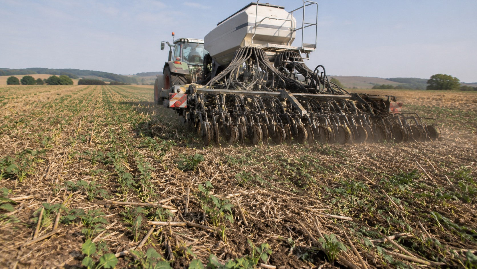 Vue agricole consacrée à semis direct