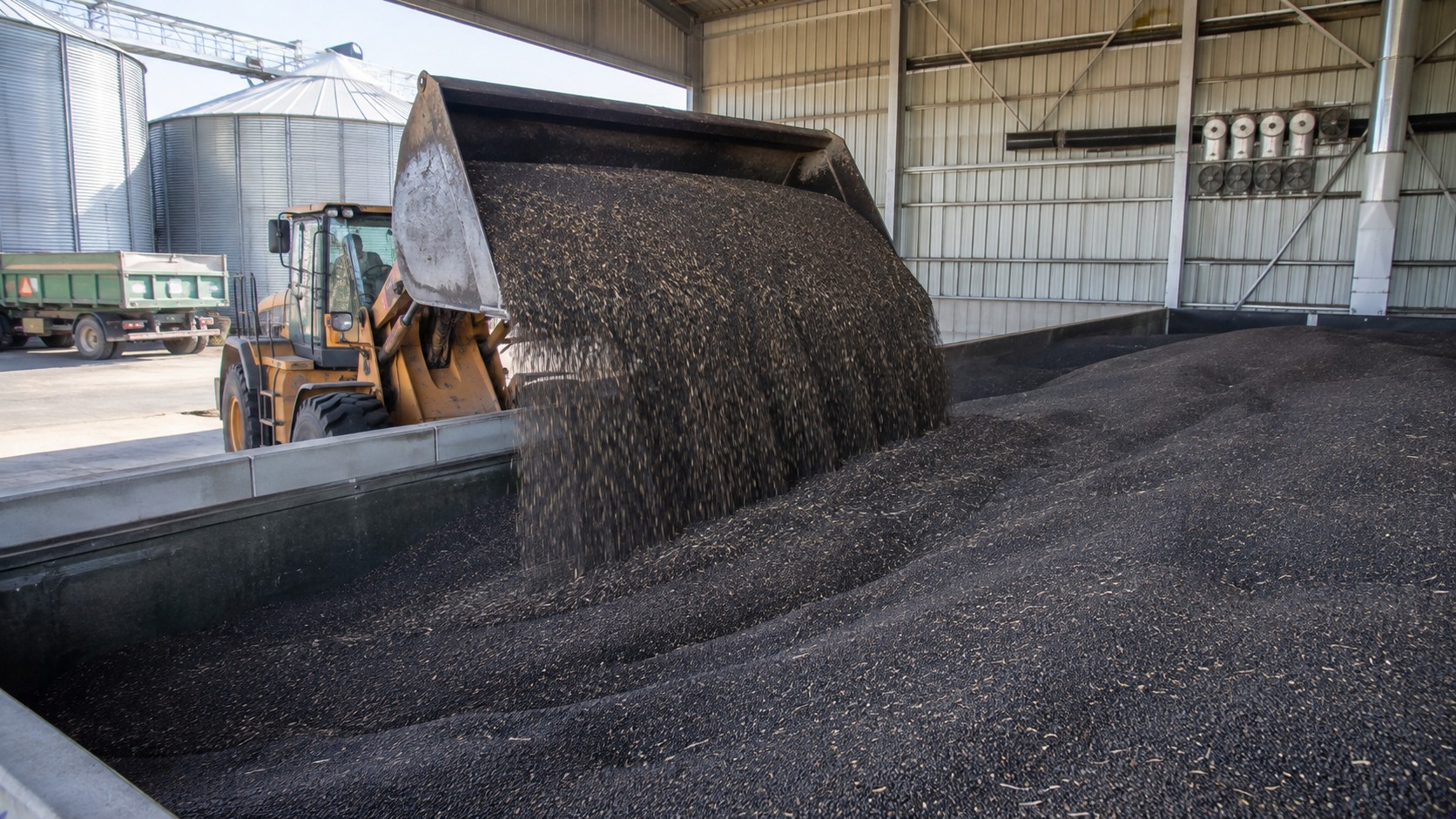 Vue agricole consacrée à stockage du colza