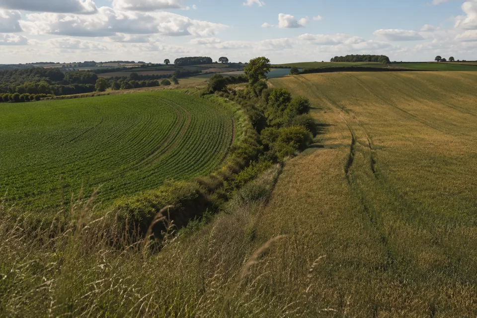 Paysage montrant plusieurs parcelles et leurs périmètres distincts.