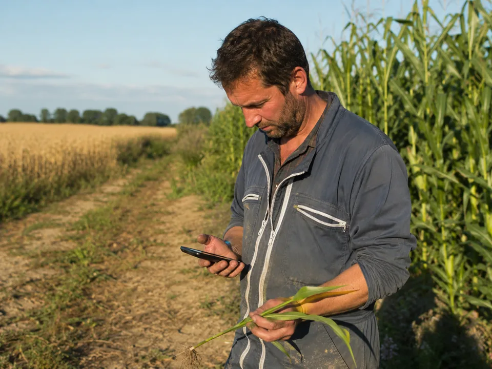 Agriculteur capturant rapidement une observation au bord d’une parcelle.