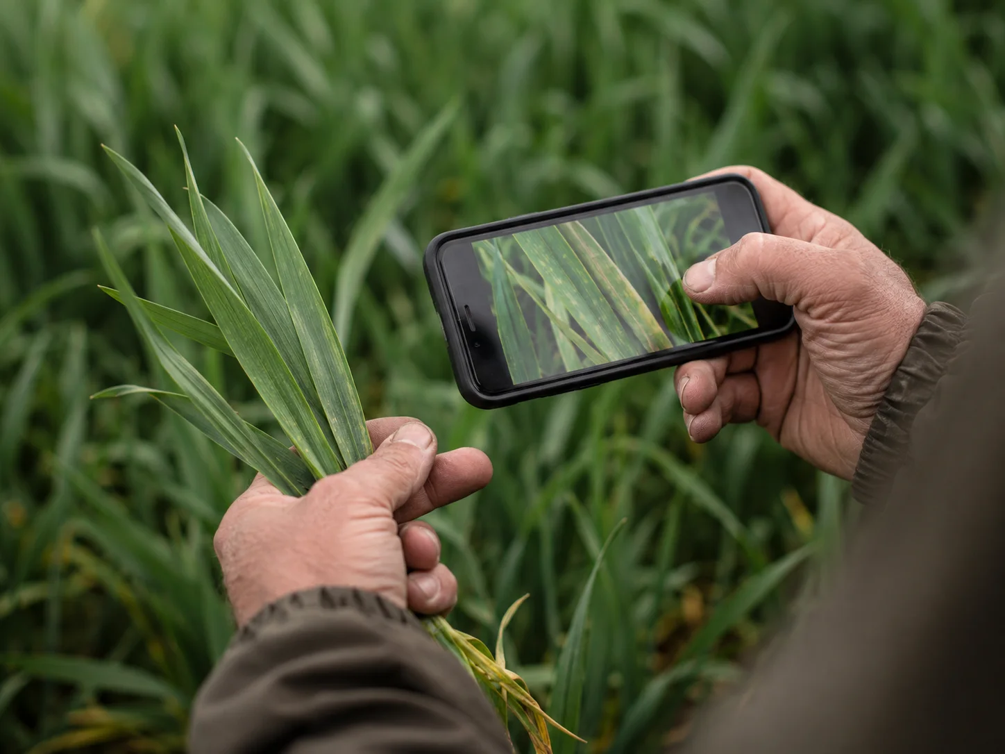 Agriculteur photographiant une observation au champ